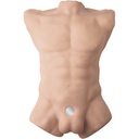SILEXD Apollo L Male Torso - Nude