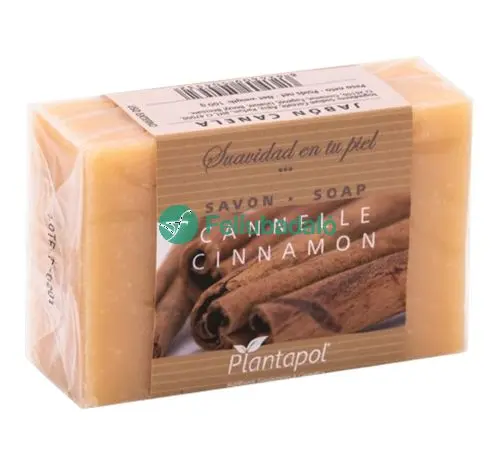 Jabon Canela Piel Seca deshidratada 100g Planta-Pol